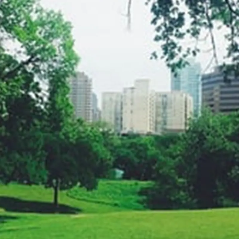 Reverchon Park and Friends of Reverchon Park | Arborilogical