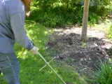 Salvador fertilizing around green grass