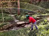 Salvador fertilizing around landscaped yard