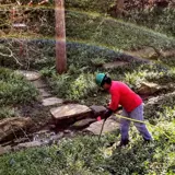 Salvador fertilizing around landscaped yard
